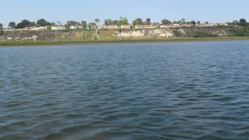 Bluewater in the Upper Newport Bay